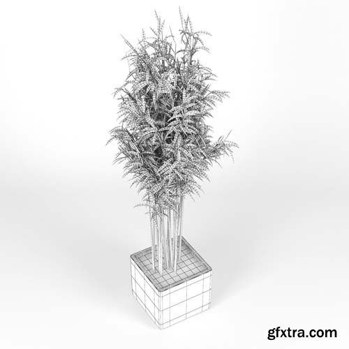 Cgtrader - Bambus Muriel Square Large Planter 3D model