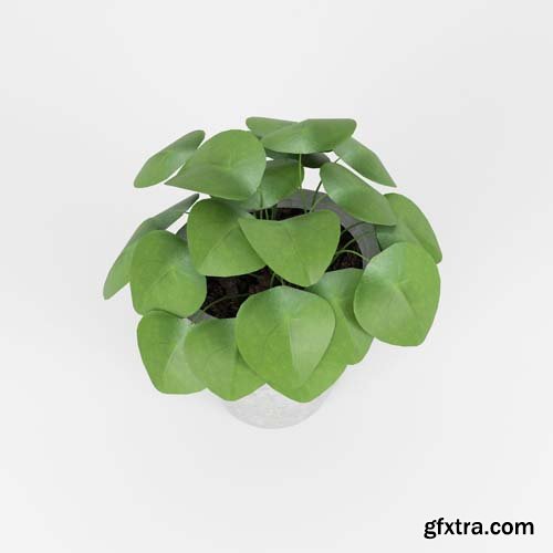 Cgtrader - Slant Light Grey Short Planter 3D model