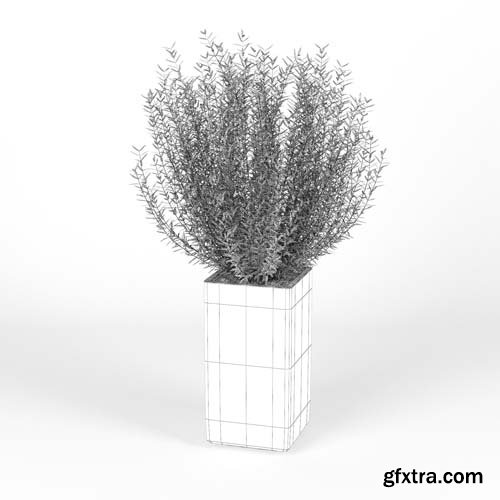 Cgtrader - Set Crate and Barrel 02 3D model