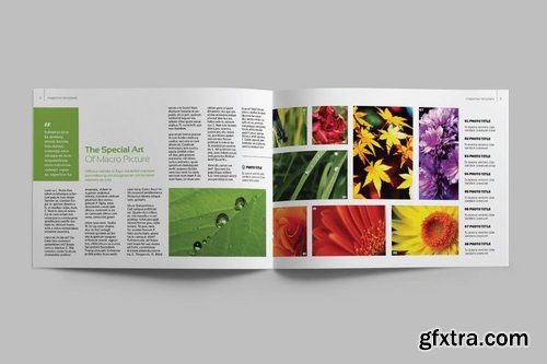 BUSINESS - Brochure A5 Landscape