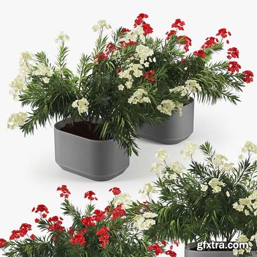 Cgtrader - Urbilis Mod Planter 01 3D model