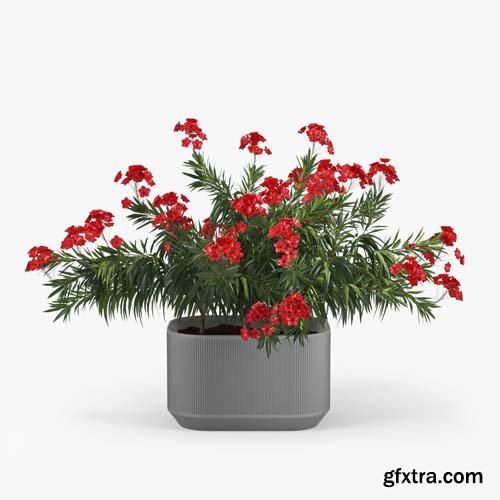 Cgtrader - Urbilis Mod Planter 01 3D model