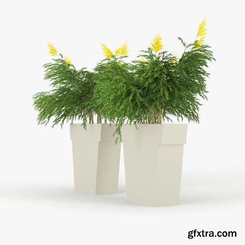 Cgtrader - IL VASO OUTDOOR PLANTER 3D model