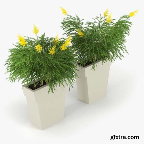 Cgtrader - IL VASO OUTDOOR PLANTER 3D model