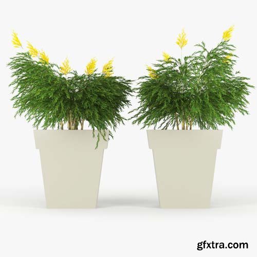 Cgtrader - IL VASO OUTDOOR PLANTER 3D model