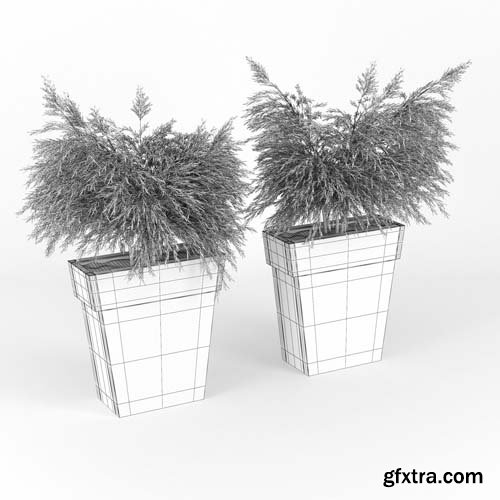 Cgtrader - IL VASO OUTDOOR PLANTER 3D model