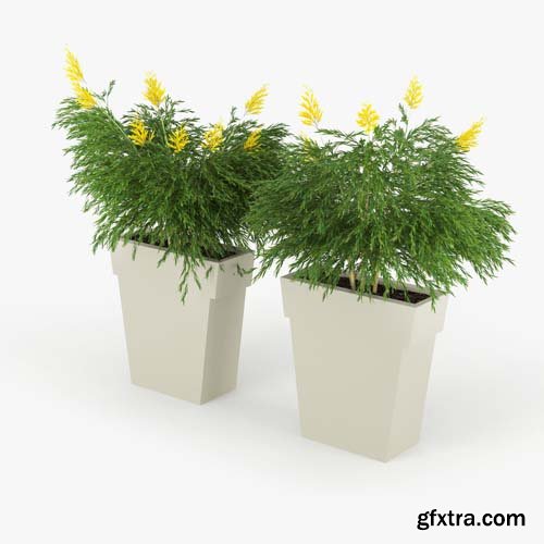 Cgtrader - IL VASO OUTDOOR PLANTER 3D model