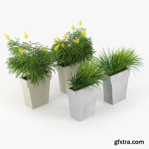 Cgtrader - IL VASO OUTDOOR PLANTER 3D model