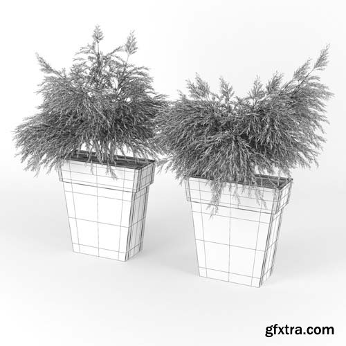 Cgtrader - IL VASO OUTDOOR PLANTER 3D model