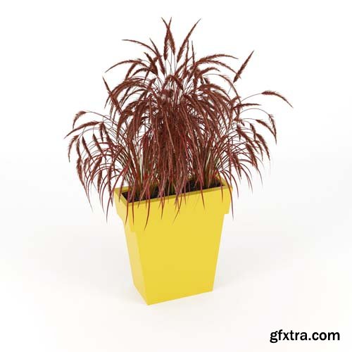 Cgtrader - IL VASO OUTDOOR PLANTER yellow 3D model