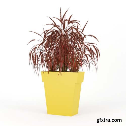 Cgtrader - IL VASO OUTDOOR PLANTER yellow 3D model