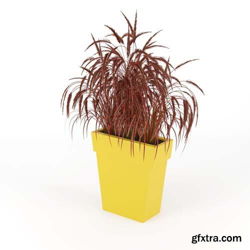 Cgtrader - IL VASO OUTDOOR PLANTER yellow 3D model