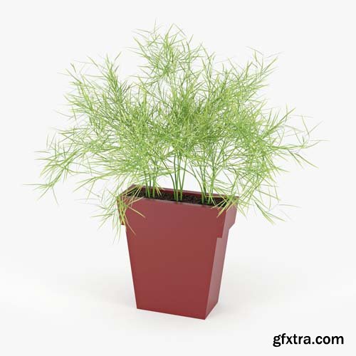 Cgtrader - IL VASO OUTDOOR PLANTER burgundy 3D model