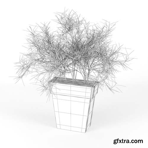 Cgtrader - IL VASO OUTDOOR PLANTER burgundy 3D model