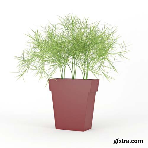 Cgtrader - IL VASO OUTDOOR PLANTER burgundy 3D model