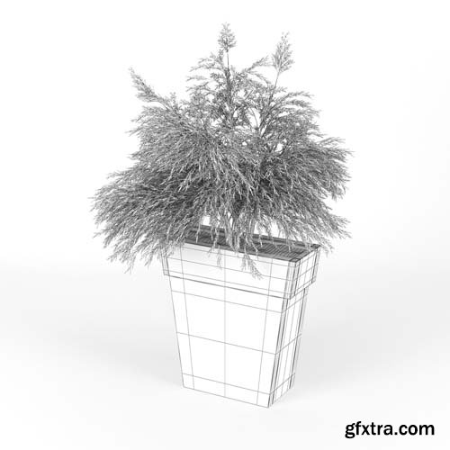 Cgtrader - IL VASO OUTDOOR PLANTER pink 3D model