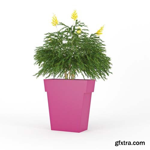 Cgtrader - IL VASO OUTDOOR PLANTER pink 3D model