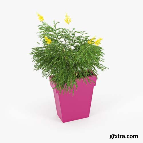 Cgtrader - IL VASO OUTDOOR PLANTER pink 3D model