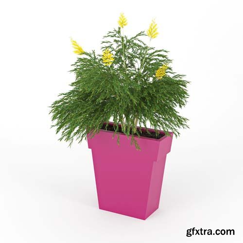 Cgtrader - IL VASO OUTDOOR PLANTER pink 3D model