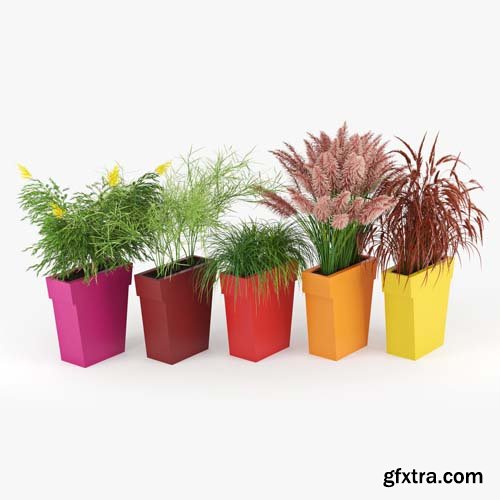 Cgtrader - IL VASO OUTDOOR PLANTER color 3D model