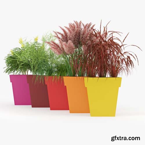 Cgtrader - IL VASO OUTDOOR PLANTER color 3D model