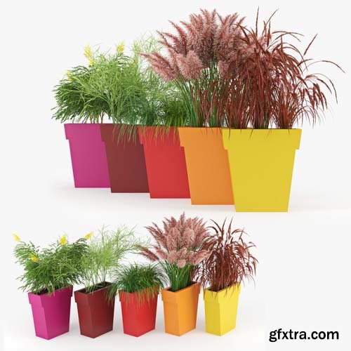 Cgtrader - IL VASO OUTDOOR PLANTER color 3D model