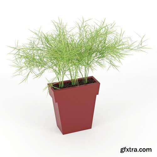 Cgtrader - IL VASO OUTDOOR PLANTER color 3D model