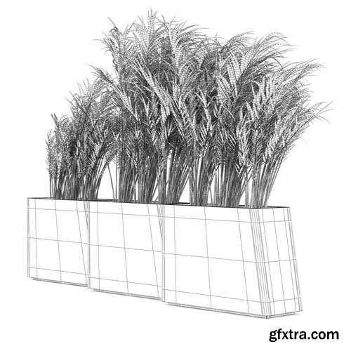 Cgtrader - Twista Contemporary Modern Outdoor Planter Pot Areca Palm 3D model