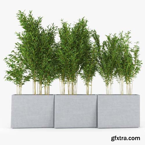 Cgtrader - Twista Contemporary-Modern Tall Commercial Modern Cement Planter 3D model