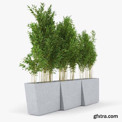 Cgtrader - Twista Contemporary-Modern Tall Commercial Modern Cement Planter 3D model