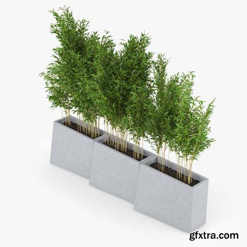 Cgtrader - Twista Contemporary-Modern Tall Commercial Modern Cement Planter 3D model