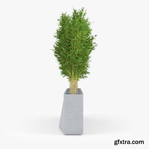 Cgtrader - Twista Contemporary-Modern Tall Commercial Modern Cement Planter 3D model