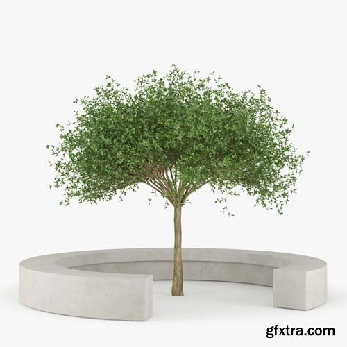 Cgtrader - COMU BY VORA ARQUITECTURA Tree Bench 3D model