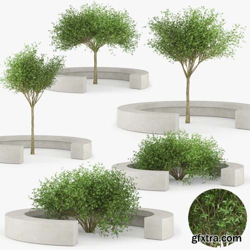 Cgtrader - COMU BY VORA ARQUITECTURA Tree Bench 3D model