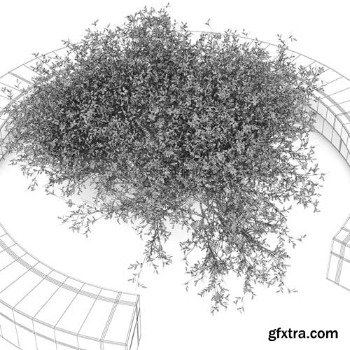 Cgtrader - COMU BY VORA ARQUITECTURA Tree Bench 3D model