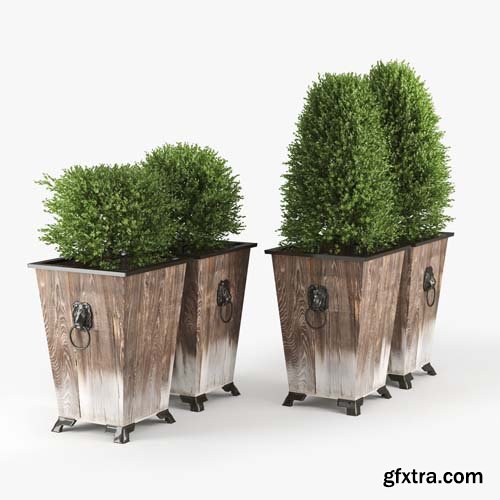 Cgtrader - Green bush 3D model