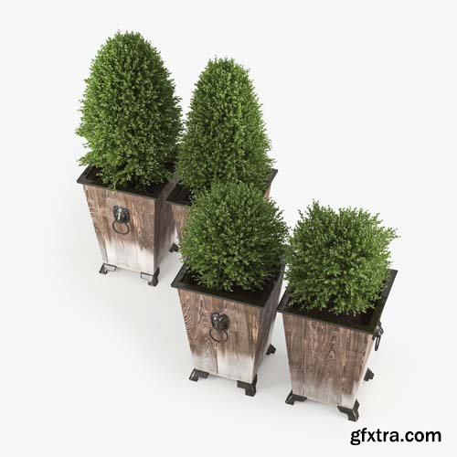 Cgtrader - Green bush 3D model