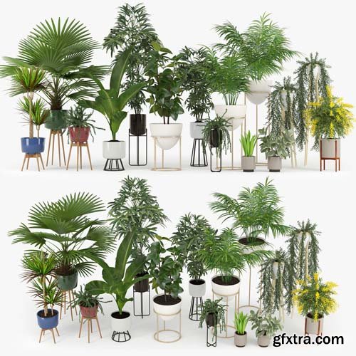 Cgtrader - Plants Set 3D model