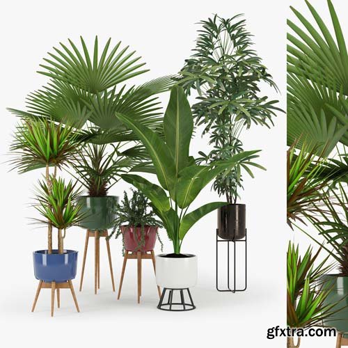 Cgtrader - Plants Set 3D model