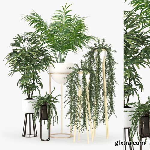 Cgtrader - Plants Set 3D model