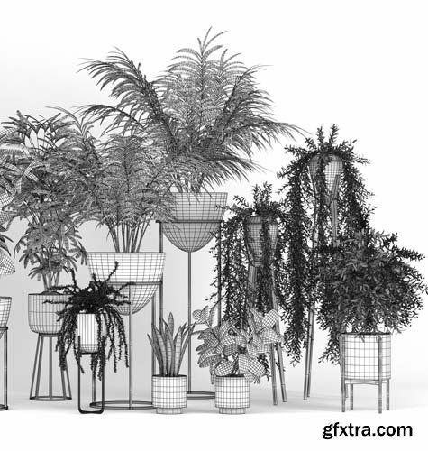 Cgtrader - Plants Set 3D model