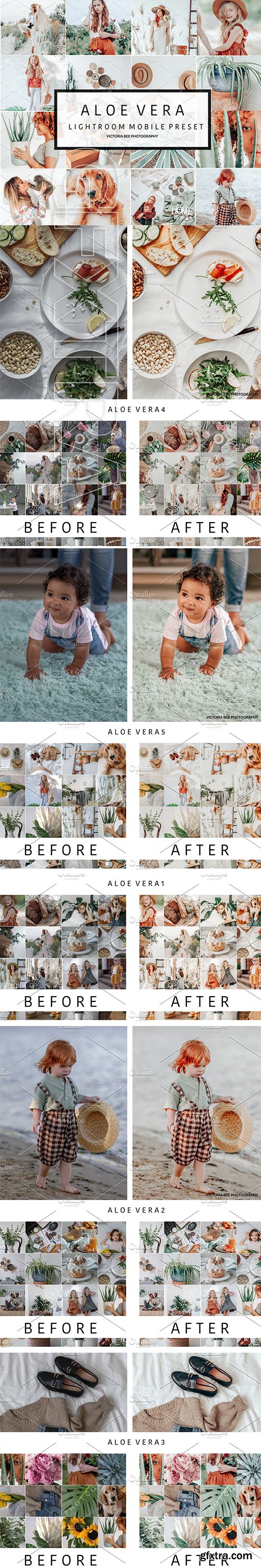 CreativeMarket - 5 Mobile Presets ALOE VERA 3747564