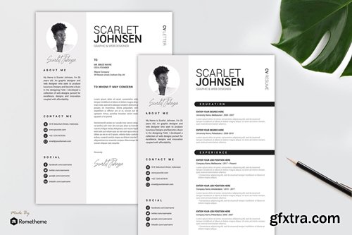 Clean Resume vol. 41