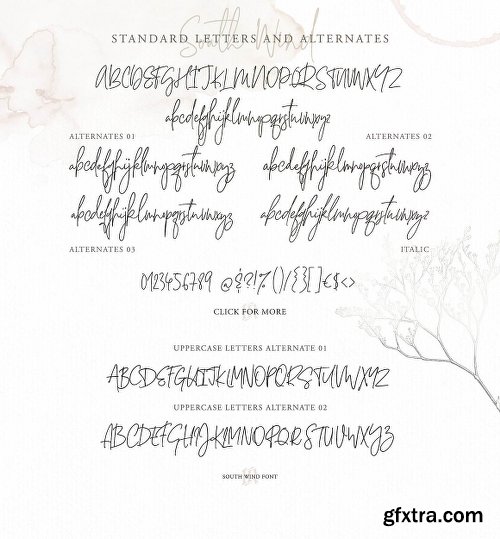 DealJumbo Handwritten Font Collection