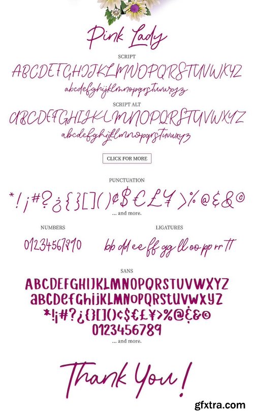 DealJumbo Handwritten Font Collection