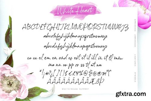 DealJumbo Handwritten Font Collection