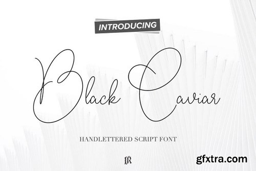 DealJumbo Handwritten Font Collection