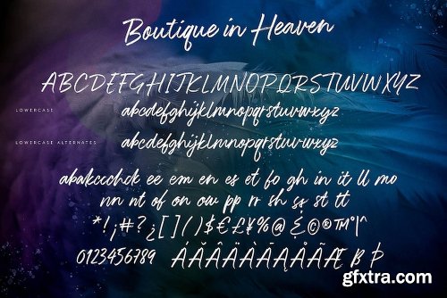 DealJumbo Handwritten Font Collection