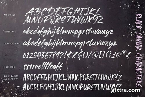 DealJumbo Handwritten Font Collection