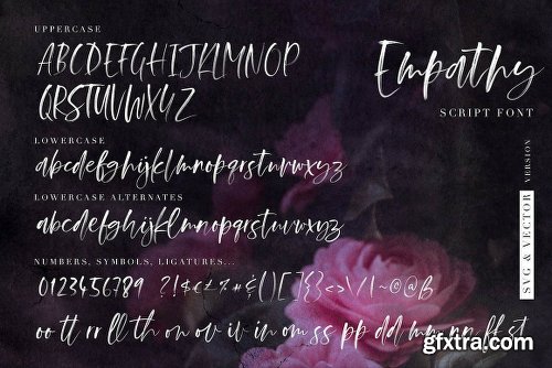 DealJumbo Handwritten Font Collection